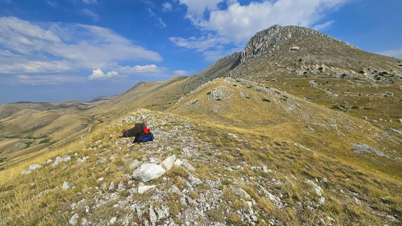 Le belle Epipactis sulle praterie di Campo Imperatore (AQ)  luglio 2025.